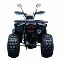 Квадроцикл SP125-7