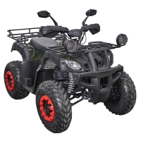 Квадроцикл SP200-1