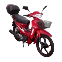Мотоцикл SPARK SP110C-3C